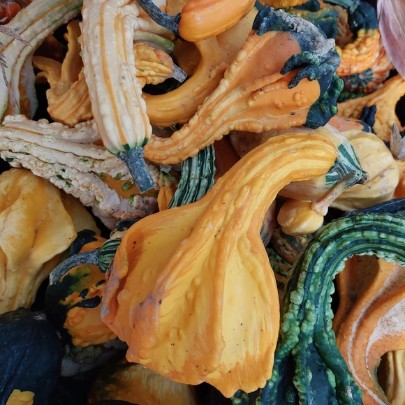 🐸🍄🌻 Meet Your Posher 🌻🍄🐸 - Picture 1 of 12